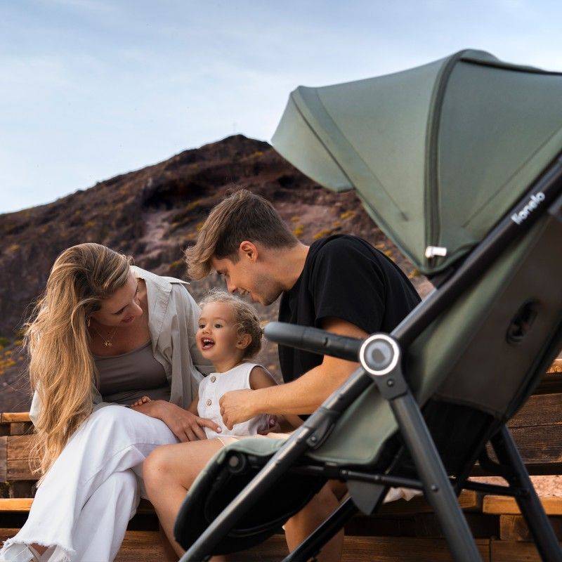 Внешний вид Прогулочная коляска Lionelo Iva Green Forest