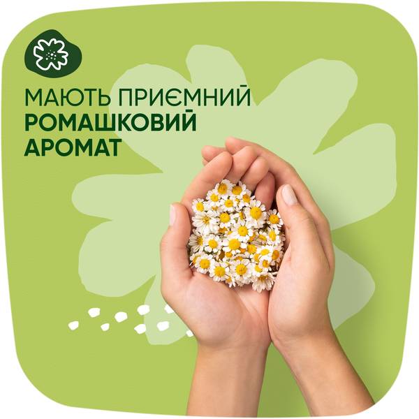 Гигиенические прокладки Naturella Classic Normal 10 шт (83738795) Вид прокладки
