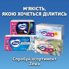 Салфетки Zewa Everyday двухслойные косметические 100 шт (7322540043464)