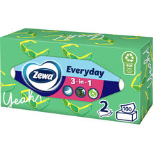 Салфетки Zewa Everyday двухслойные косметические 100 шт (7322540043464)
