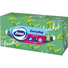 Салфетки Zewa Everyday двухслойные косметические 100 шт (7322540043464)