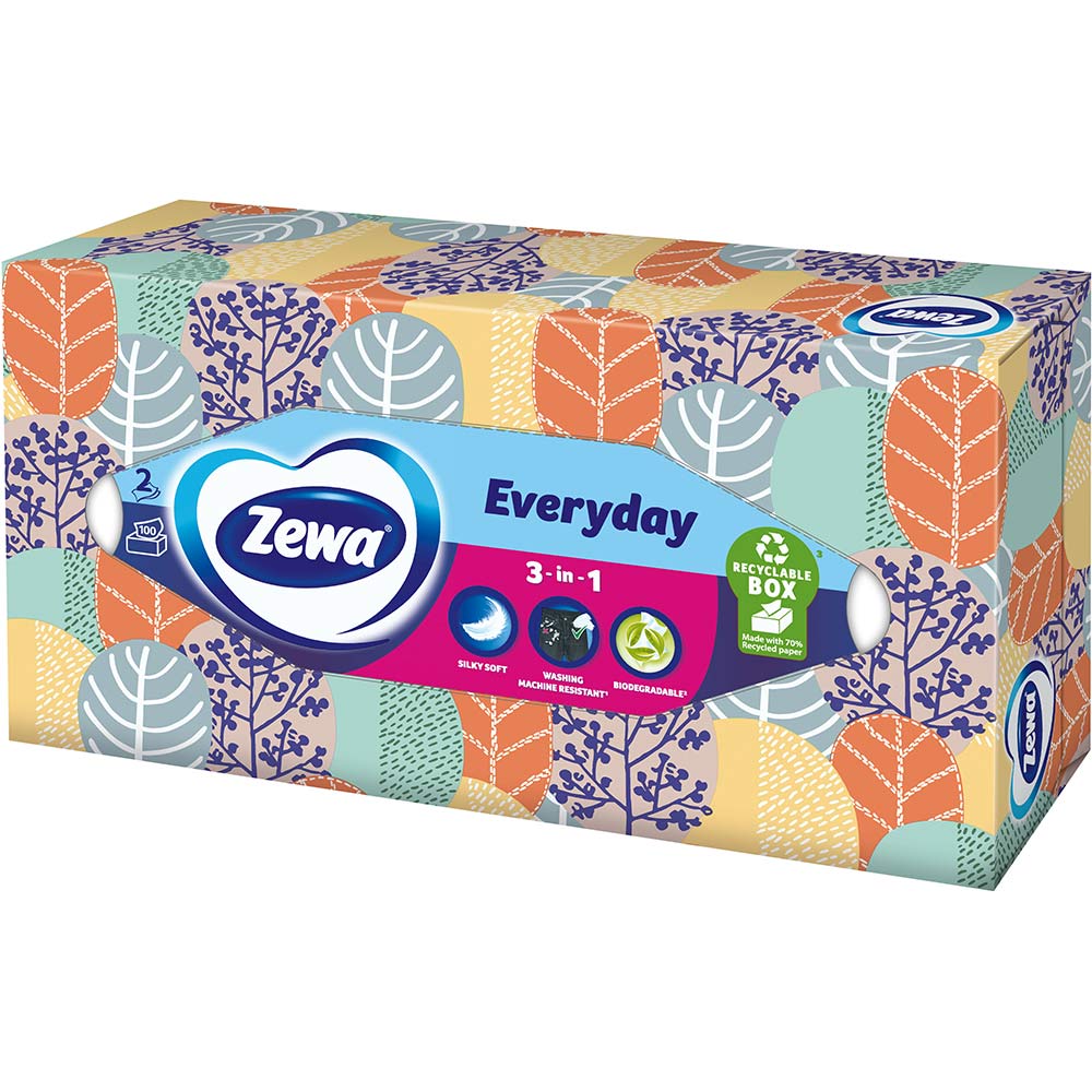 Заказать Салфетки Zewa Everyday двухслойные косметические 100 шт (7322540043464)