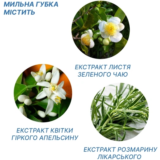 Фото Одноразові мильні губки Estem Medical 7 шт. (0050)