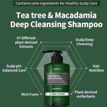 Шампунь KUNDAL Tea Tree&Macadamia Deep Cleansing Shampoo Baby Powder 500 мл (8809693252787)