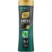 Шампунь Teo Beauty Men 3 in 1 Menthol 350 мл