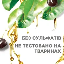 Шампунь OGX з олією гавайського горіха 385 мл (22796974211)