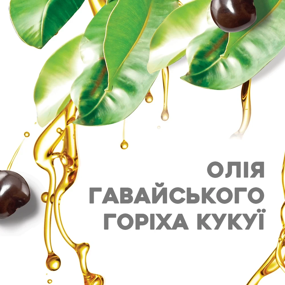 Заказать Кондиционер OGX Kukui Oil 385 мл (22796974228)