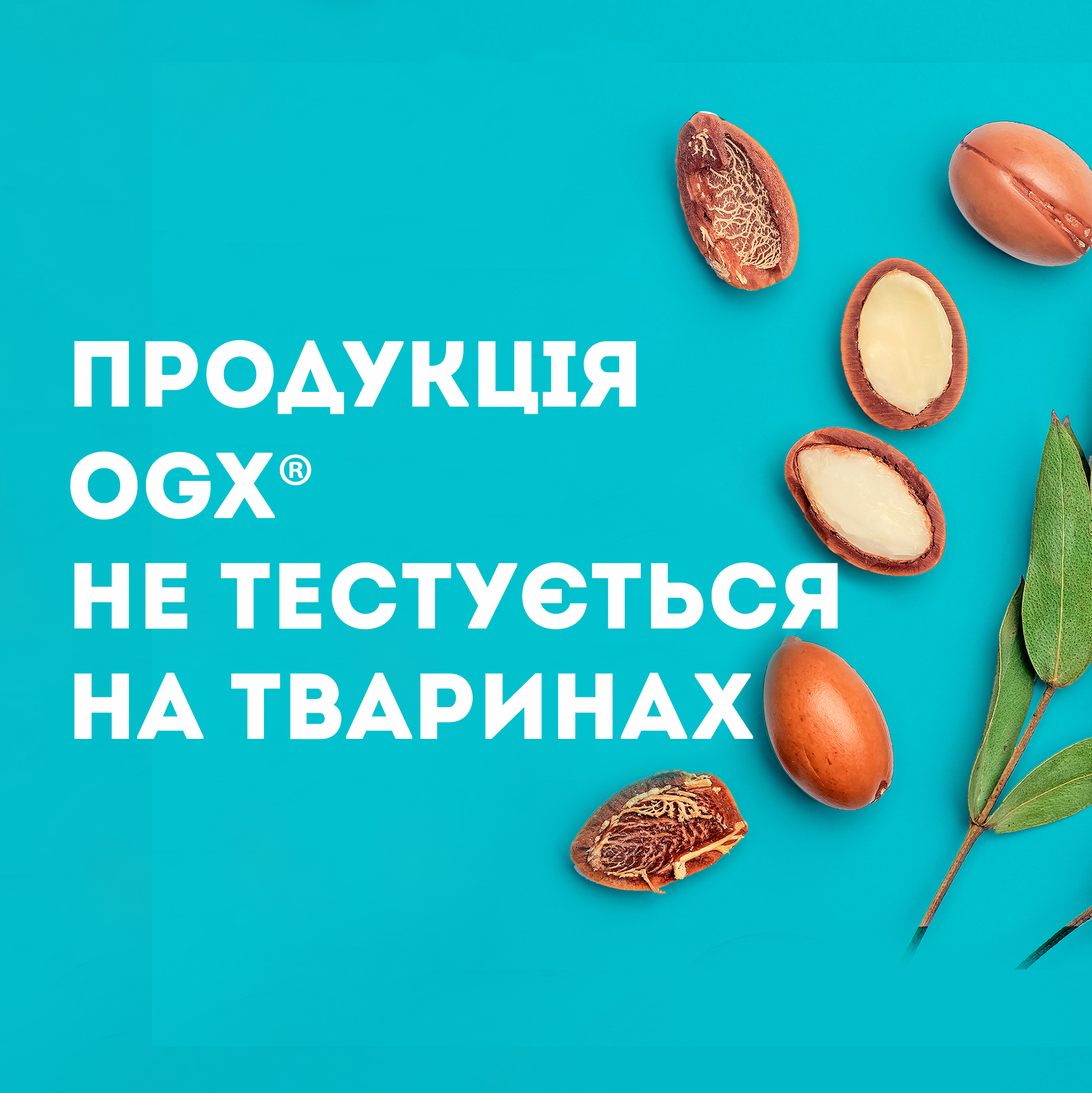 Фото Маска OGX Argan Oil Hair Mask 300 мл (3574661685144)