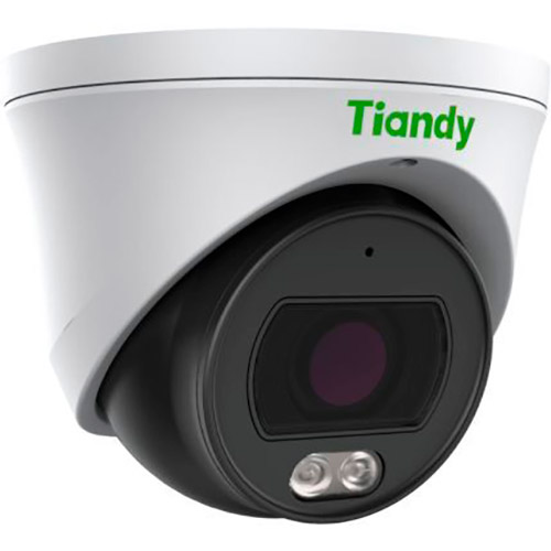 IP-камера TIANDY TC-C34XP Тип корпуса купольная