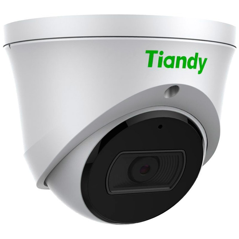 IP-камера TIANDY TC-C34XS Тип корпуса купольная