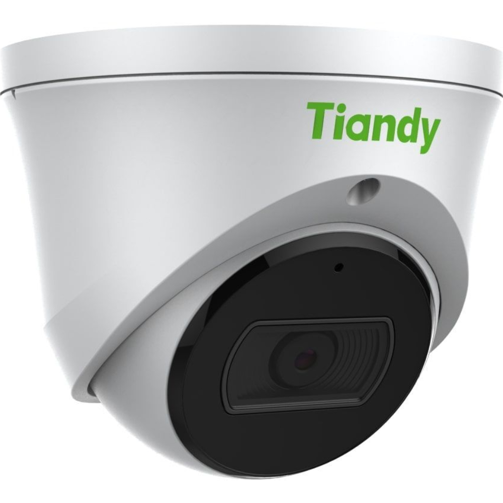 IP-камера TIANDY TC-C35XS Тип корпусу купольна