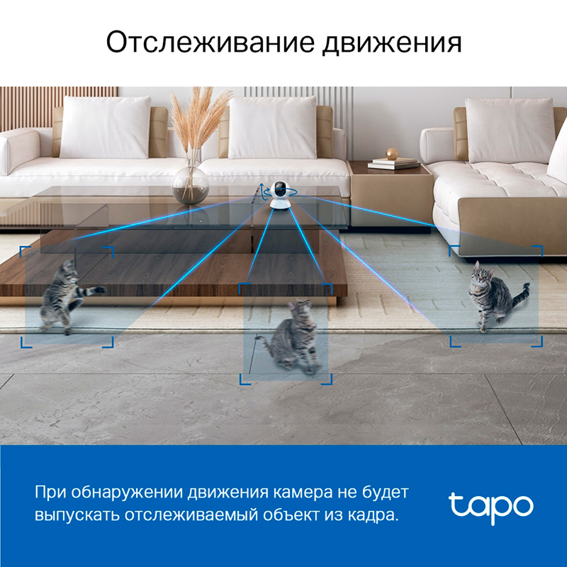 Зовнішній вигляд IP-камера TP-LINK Tapo C220