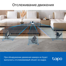 IP-камера TP-LINK Tapo C220