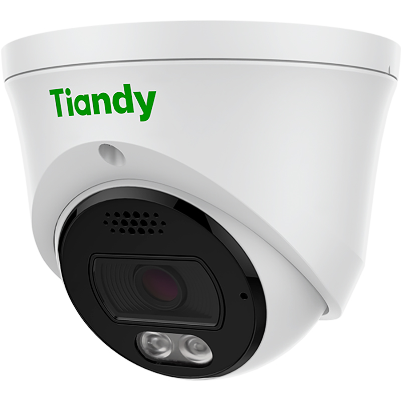 IP-камера TIANDY TC-C38XQ Тип корпуса купольная