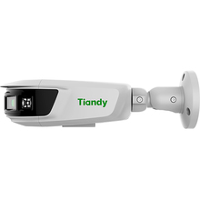 IP-камера TIANDY TC-C382V