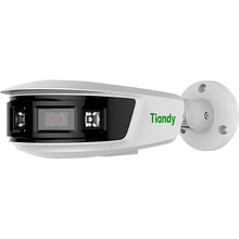 IP-камера TIANDY TC-C382V