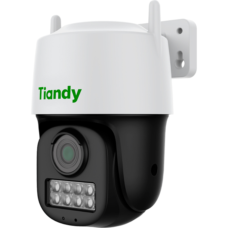 IP-камера TIANDY TC-H333N Тип корпуса купольная