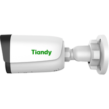 IP-камера TIANDY TC-C32WS