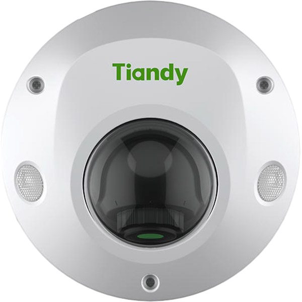IP-камера TIANDY TC-C35PS