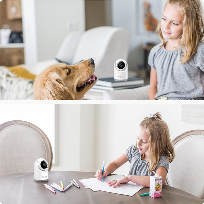 IP-камера REOLINK E Series E321 Дополнительно Поддержка Google Assistant, Alexa