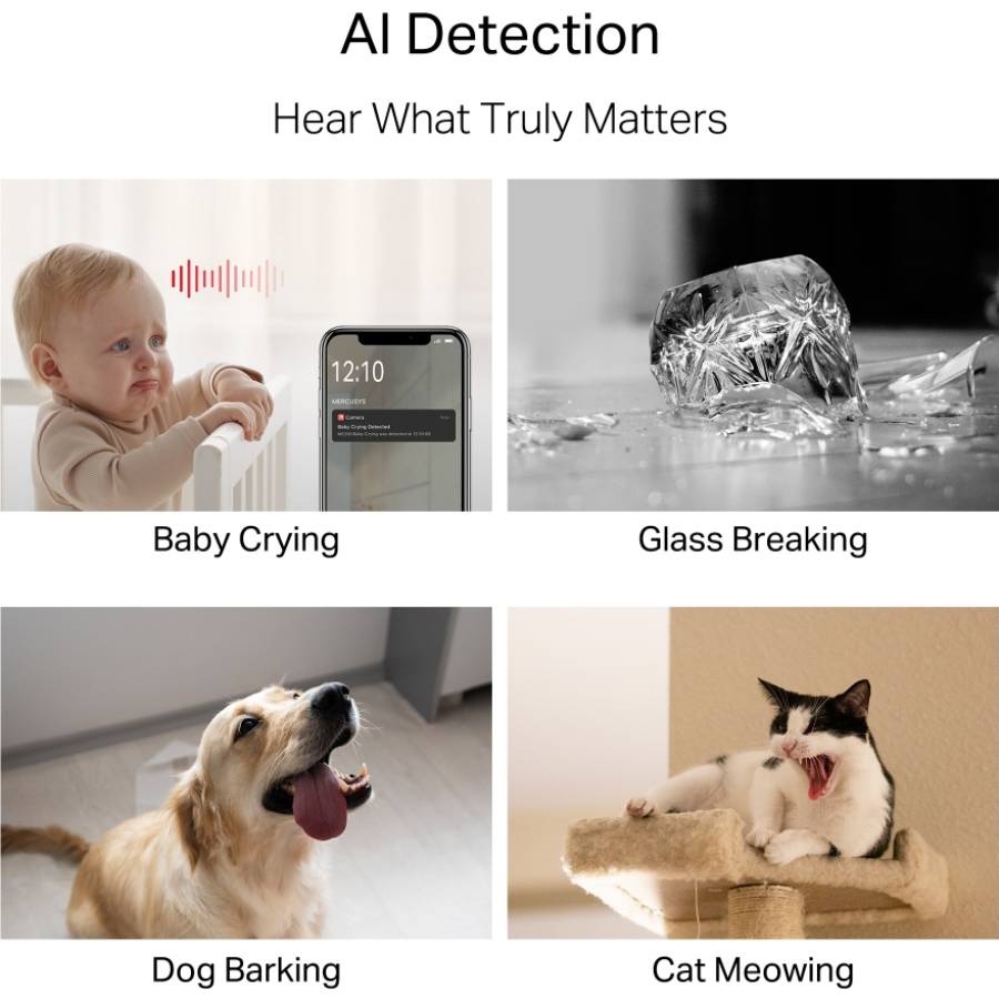 Фото IP-камера MERCUSYS MC230 5MP N300