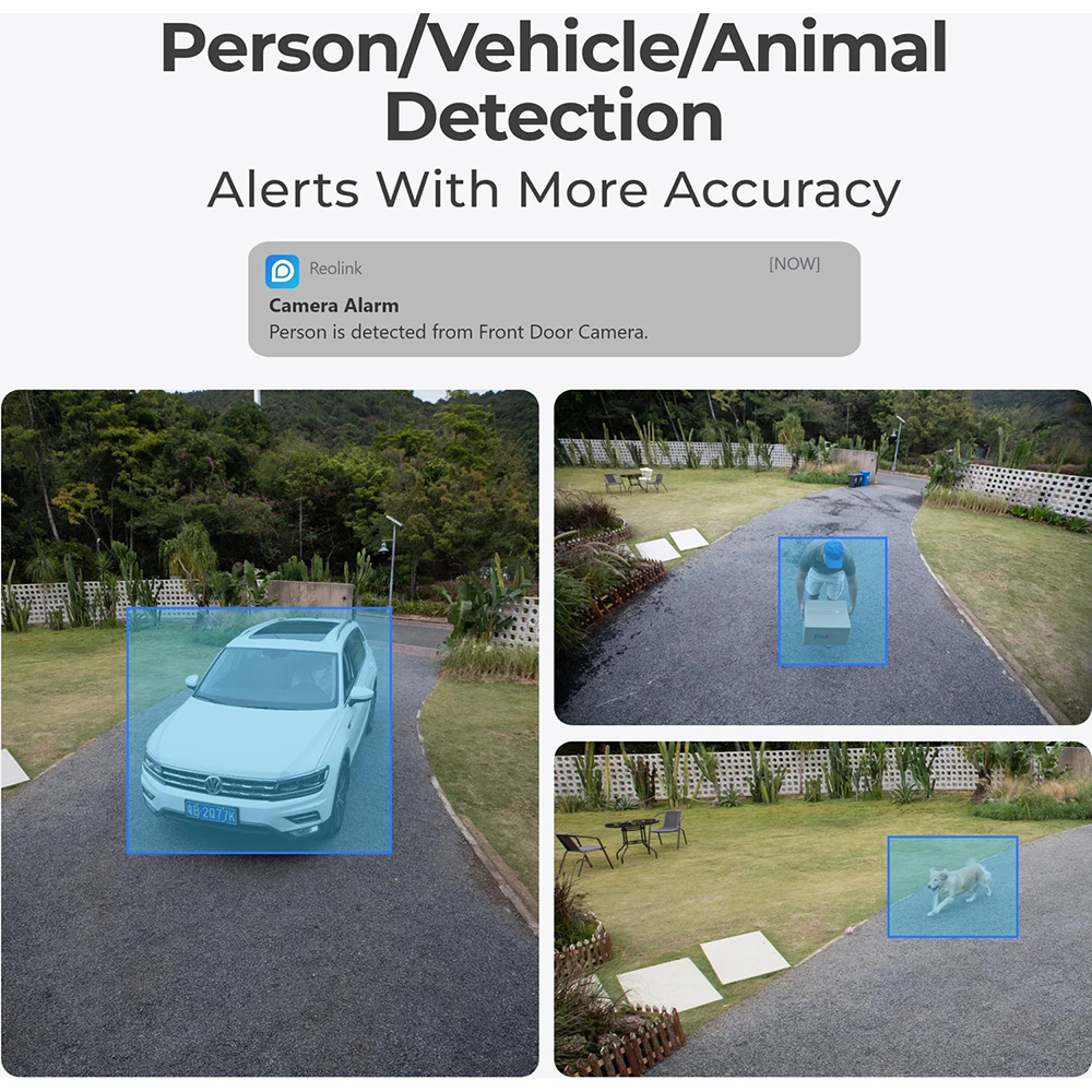 IP-камера REOLINK P840 Тип подключения проводное