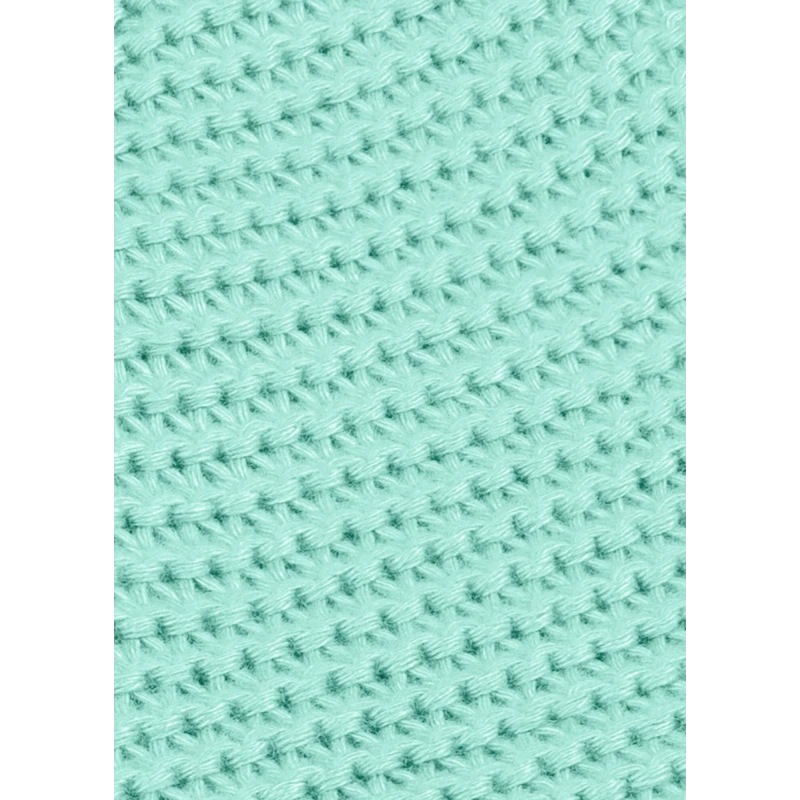 Зовнішній вигляд Плед LIONELO BAMBOO BLANKET 100 х 75 см GREEN MINT (LO-BAMBOO BLANKET GREEN MINT)