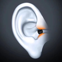 Амбушюри KNOWLEDGE ZENITH FT01 Memory Foam 3 пари Black (90404260)