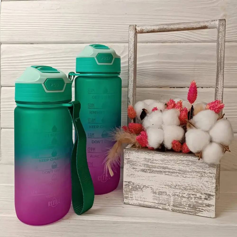 Фото Бутылка для воды GUSTO WENT 600мл (GT-699015-600)