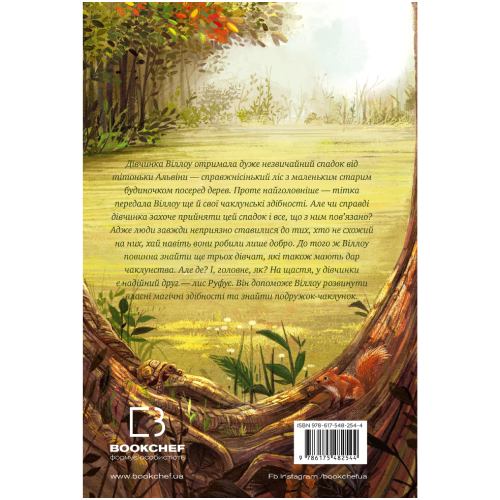 Книга Забіне Больман Дівчинка на ім'я Віллоу 2024 (978-617-548-254-4) Видавництво Book Chef
