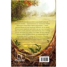 Книга Забіне Больман Дівчинка на ім'я Віллоу 2024 (978-617-548-254-4)