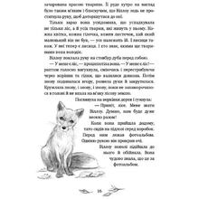 Книга Забіне Больман Дівчинка на ім'я Віллоу 2024 (978-617-548-254-4)