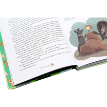 Книга Галина Вдовиченко 36 і 6 котів-компаньйонів Книга 3 2019 (978-617-679-685-5)