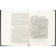 Книга Дуґлас Р. Гофстедтер Гедель, Ешер, Бах. Вічне золоте плетиво 2025 (978-617-548-343-5)