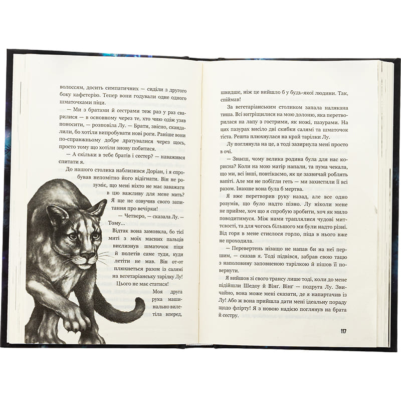 Книга Катя Брандіс Діти лісу Небезпечна дружба Книга 2 2025 (978-617-548-337-4) Иллюстратор Клаудия Карлс