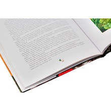 Книга Сказки Туманного Альбіону 2003 (978-966-7047-80-1)