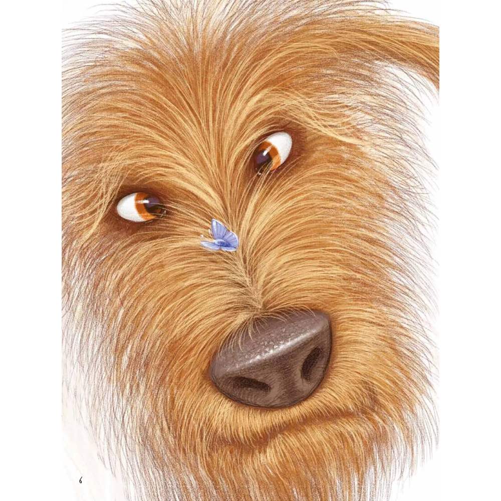 Фото 14 Книга Григорій Сковорода Байки 2020 (978-966-98-2135-5)