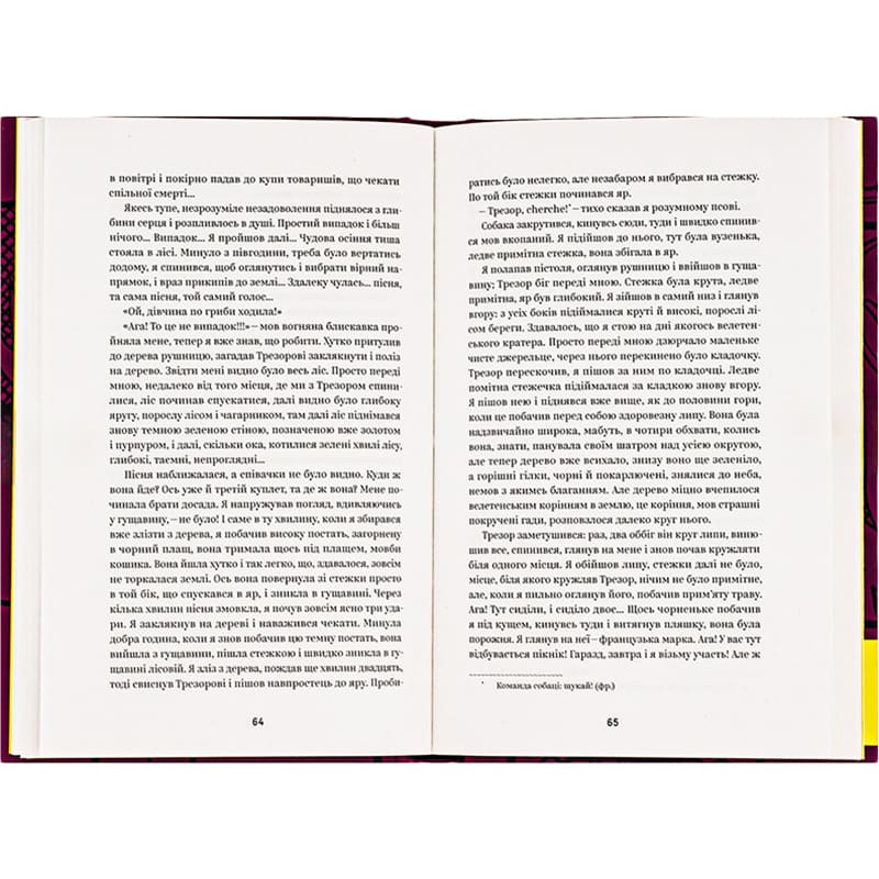 Фото Книга Людмила Старицька-Черняхівська Вибрані твори 2023 (978-617-8107-72-7)
