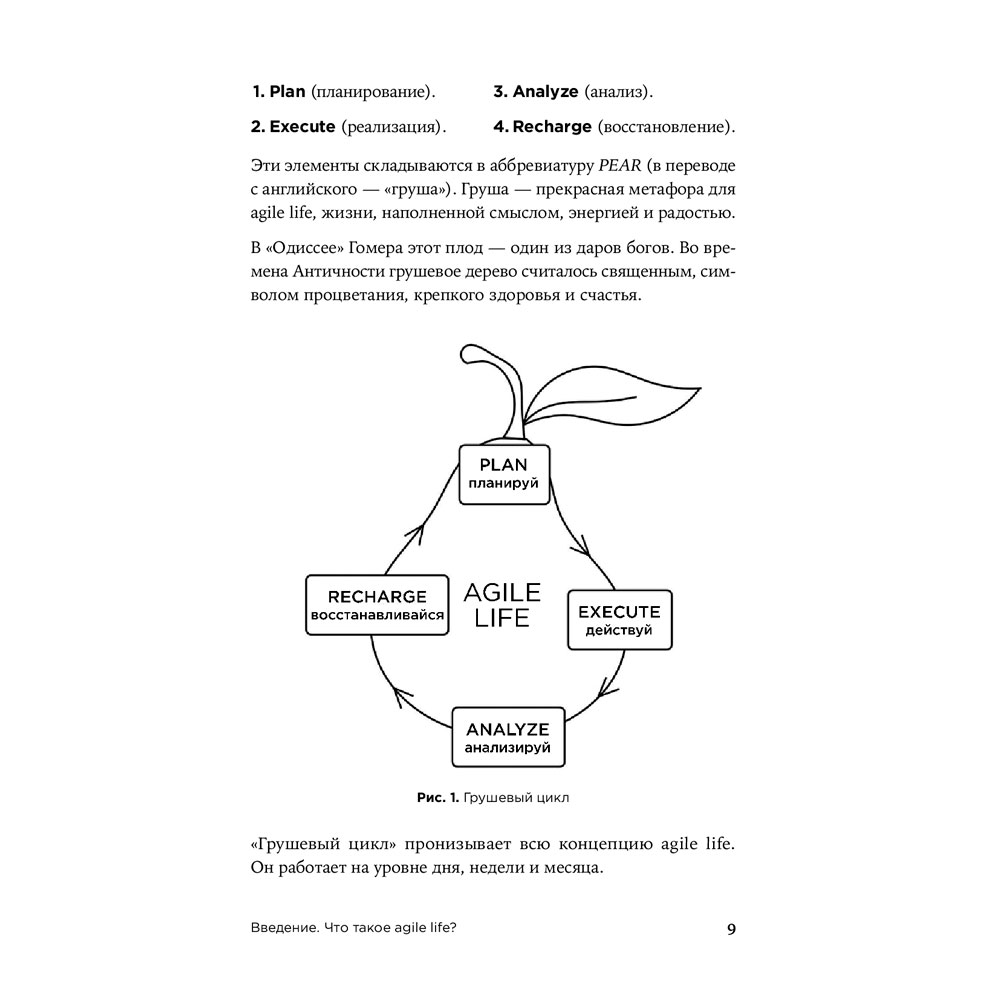 В Україні Книга Катерина Ленгольд Agile Life. Як вивести життя на нову орбіту, використовуючи методи agile-планування, нейрофізіологію та самокоучинг (978-617-7858-86-6)