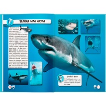 КНИГА КРИСТАЛ БУК Світ навколо нас. Акулі 2023 (978-966-936-914-7)