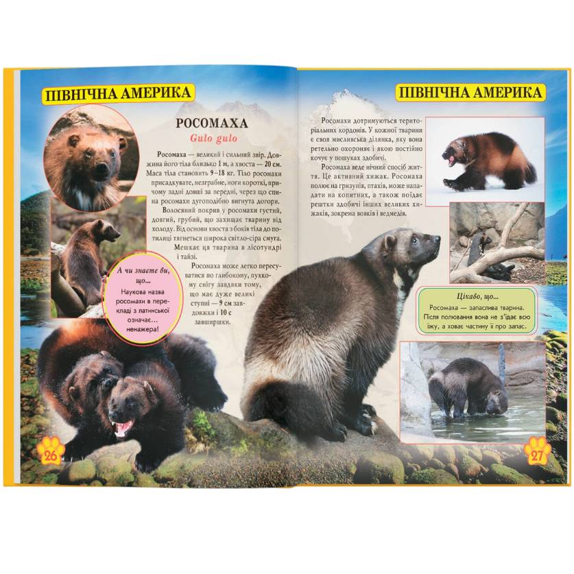 КНИГА КРИСТАЛ БУК Світ навколо нас. Дикі тварини 2019 (978-966-936-942-0) Серія книг Світ навколо нас