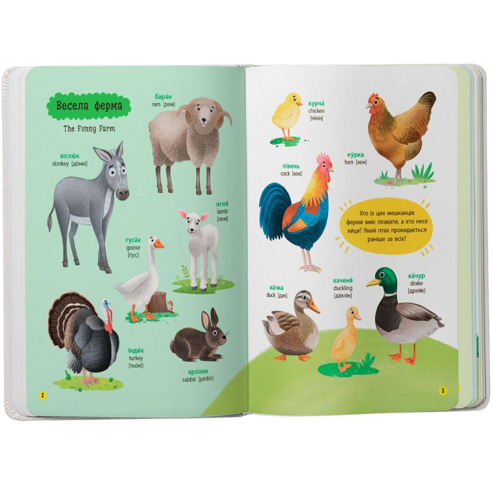 Заказать Книга КРИСТАЛ БУК 150 перших слів. Тварини 2025 (978-617-547-555-3)
