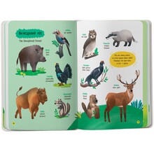 Книга КРИСТАЛ БУК 150 перших слів. Тварини 2025 (978-617-547-555-3)