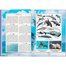 Книга Ви маєте це знати. Світ звірів 2024 (978-617-547-469-3)