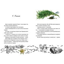 Книга Андрій Гудима 69 спецій для Серця 2023 (978-966-448-171-4)