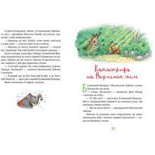 Книга Валько Сказки Чарівного лісу 2024 (978-617-8373-44-3)