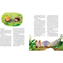 Книга Всеволод Нестайко Тореадори з Васюківки. Велике ілюстроване видання. Книга перша 2023 (978-617-585-248-4)