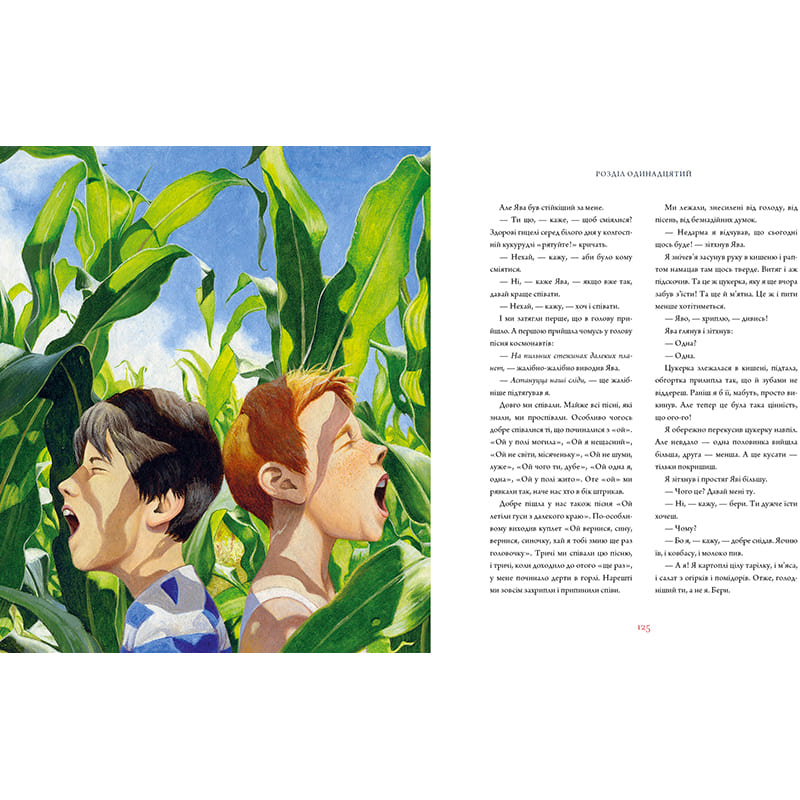 Книга Всеволод Нестайко Тореадори з Васюківки. Велике ілюстроване видання. Книга перша 2023 (978-617-585-248-4) Издательство  А-БА-БА-ГА-ЛА-МА-ГА