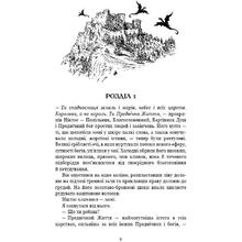 Книга Дженніфер Л. Арментраут Плоть і вогонь Світло у пломені 2024 (978-617-548-243-8)