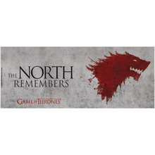 Кухоль ABYSTYLE GAME OF THRONES The North Remembers 320 мл (ABYMUG110)